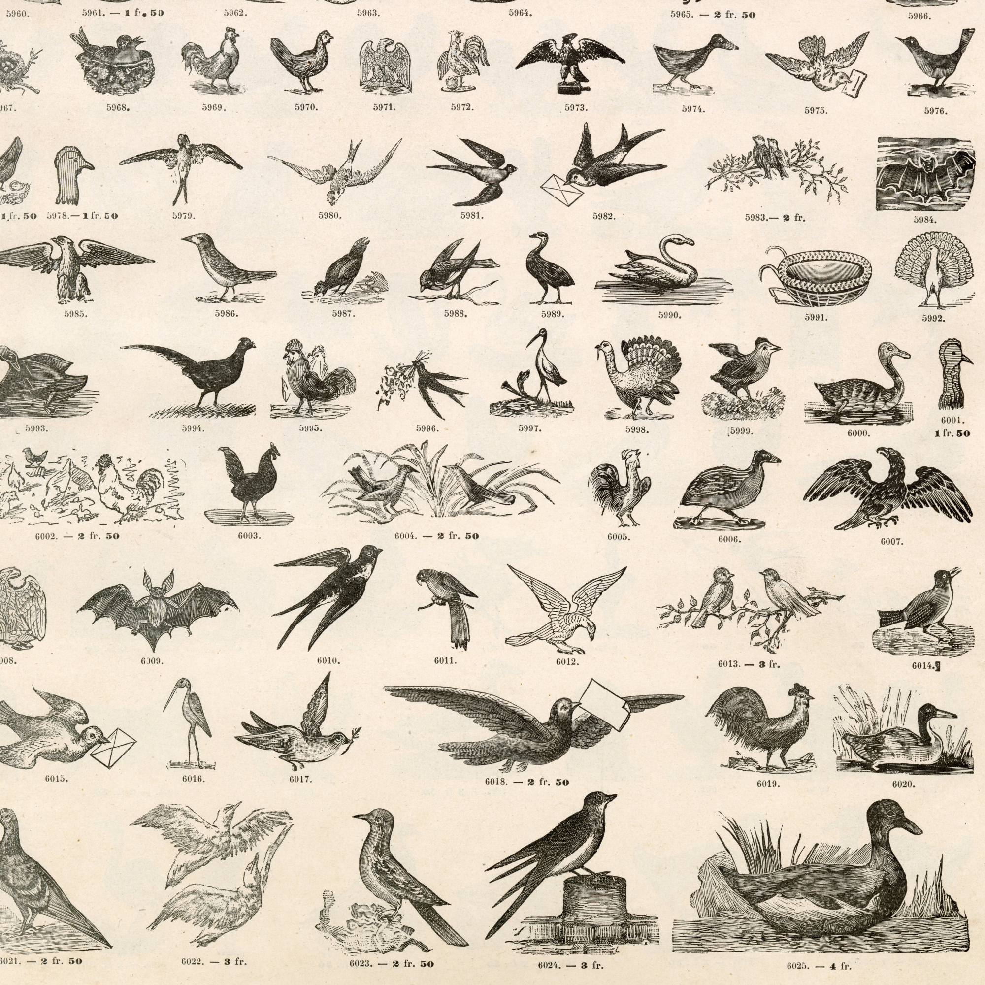 Archive of Feathers