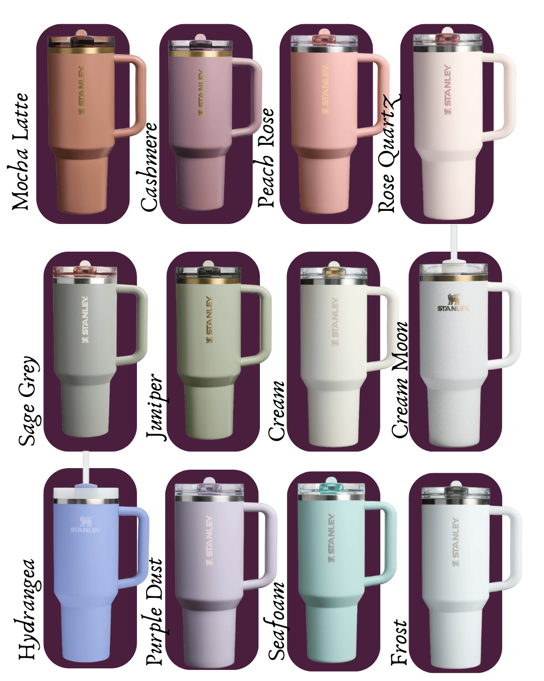 Vintage Frame Etched Tumbler | Gothic Gallery Wrap Design | Laussel Exclusive