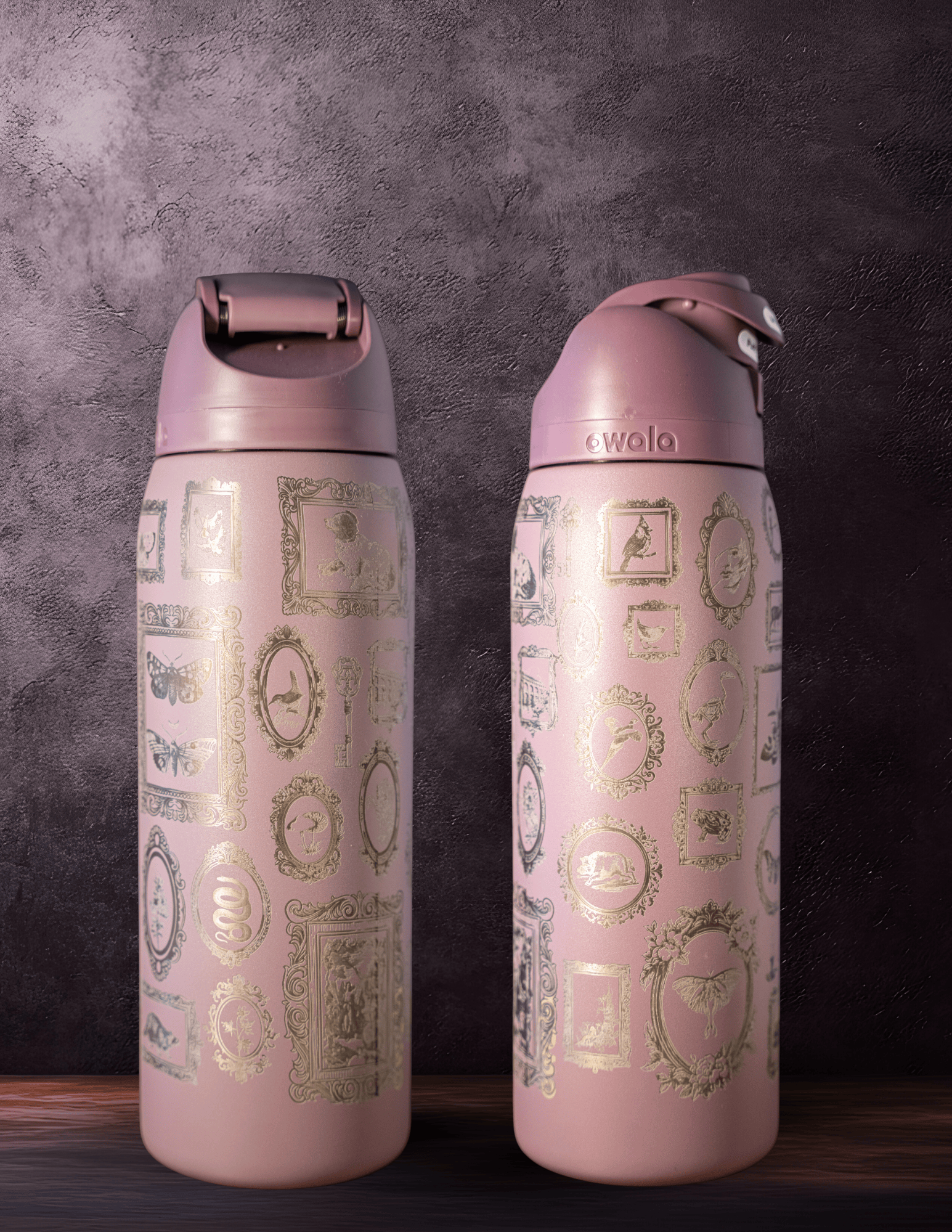 Vintage Frame Etched Tumbler | Gothic Gallery Wrap Design | Laussel Exclusive